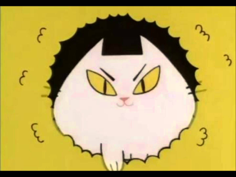 Illustration for article titled The Ultimate Guide to Evil Cats in Science Fiction and Fantasy